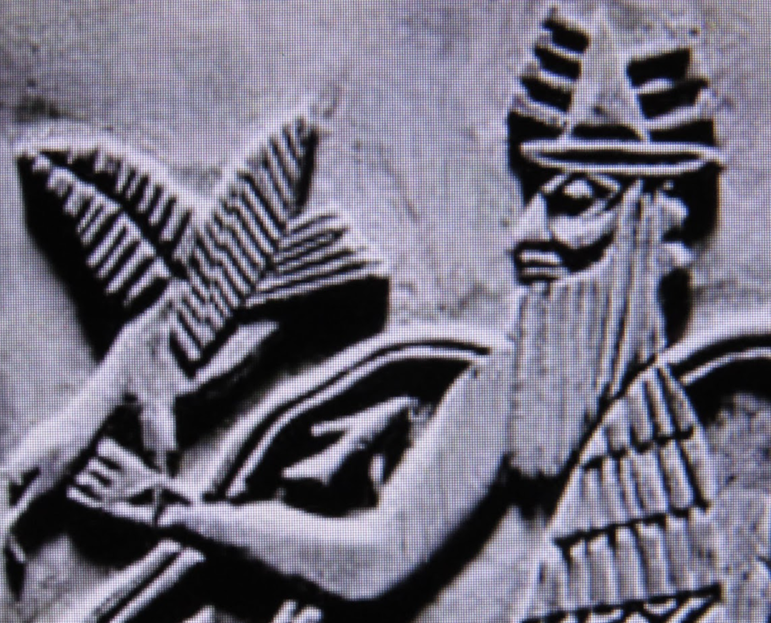 Spirits of God