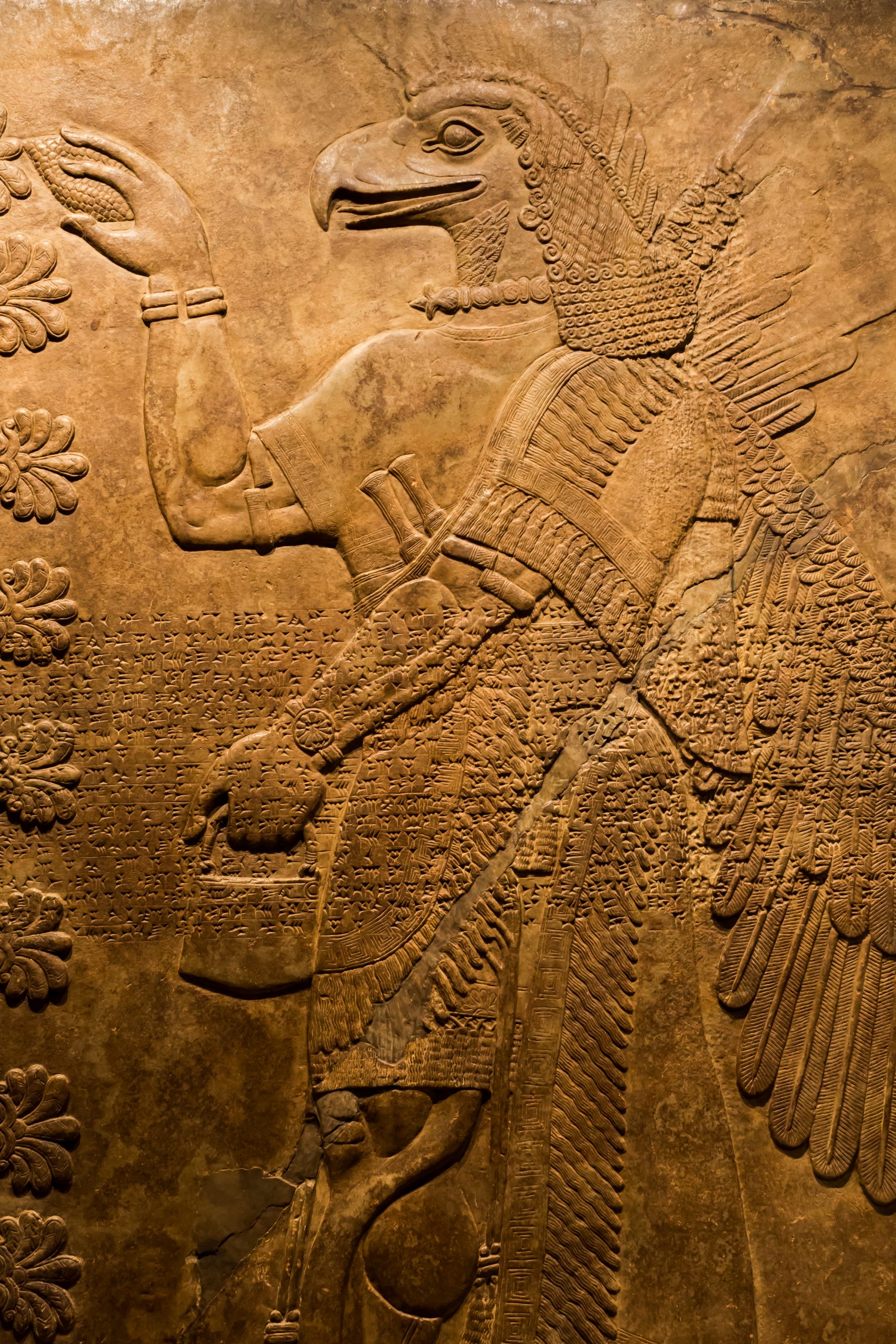 ANUNNAKI PINEAL GLAND